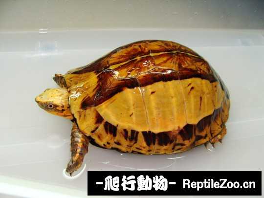 173039umye82j99bwjb9eh.jpg