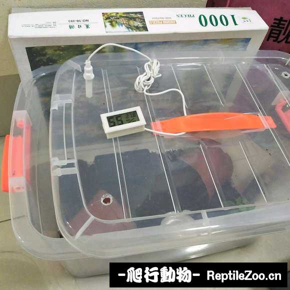 display_picture.php?url=http%3A%2F%2Fimgsa.baidu.com%2Fforum%2Fw%253D580%2Fsign%3Dd032bc68281f95caa6f592bef9177fc5%2F28965582b2b7d0a24bccbd8bc6ef76094a369ac5.jpg