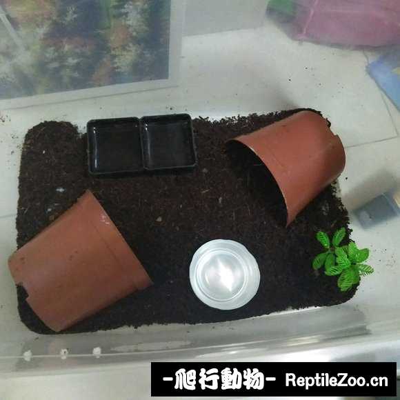 display_picture.php?url=http%3A%2F%2Fimgsa.baidu.com%2Fforum%2Fw%253D580%2Fsign%3D59ba3e91dda20cf44690fed746094b0c%2F77715b2c11dfa9ec8a2bef016fd0f703908fc1c5.jpg