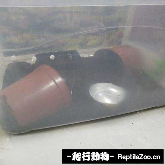 display_picture.php?url=http%3A%2F%2Fimgsa.baidu.com%2Fforum%2Fw%253D580%2Fsign%3Dfc021cc97bc6a7efb926a82ecdfaafe9%2F526877cb0a46f21fa51ae745fb246b600c33ae18.jpg
