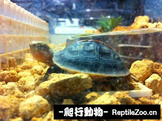 173925gffr4nhqq4z6uh6g.jpg