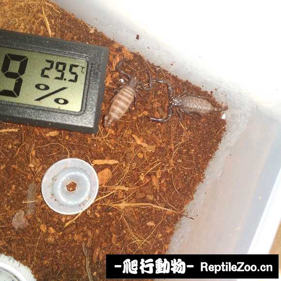 display_picture.php?url=http%3A%2F%2Fimgsa.baidu.com%2Fforum%2Fw%253D580%2Fsign%3D1ad833908f025aafd3327ec3cbecab8d%2F54abbfde9c82d15807742ce18d0a19d8bd3e420a.jpg