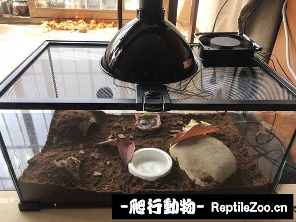 display_picture.php?url=http%3A%2F%2Fimgsa.baidu.com%2Fforum%2Fw%253D580%2Fsign%3De040afbbbbfd5266a72b3c1c9b199799%2F767cb88f8c5494ee9194ac4920f5e0fe98257e4a.jpg