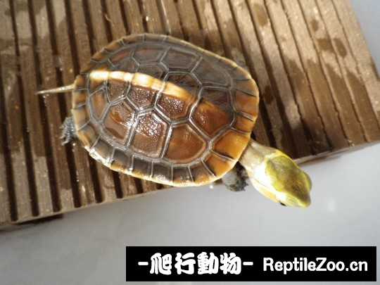 174444wmbm88jbf7hxtbbf.jpg