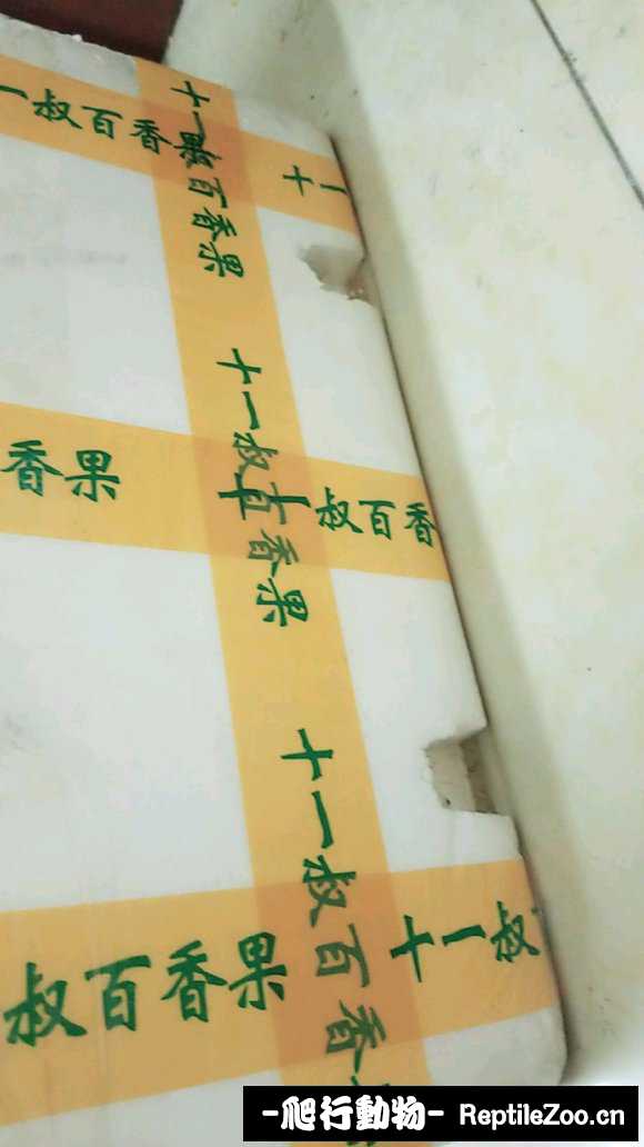 display_picture.php?url=http%3A%2F%2Fimgsa.baidu.com%2Fforum%2Fw%253D580%2Fsign%3D0df7801bdc1373f0f53f6f97940e4b8b%2Fd3ec9e58d109b3de4036fc08c1bf6c81810a4c63.jpg