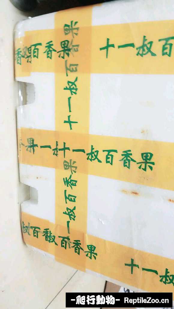 display_picture.php?url=http%3A%2F%2Fimgsa.baidu.com%2Fforum%2Fw%253D580%2Fsign%3D4efe2e1f75f0f736d8fe4c093a54b382%2F9c7ab03eb13533fa67118b4ea5d3fd1f40345b49.jpg