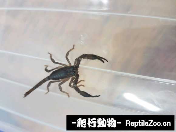 display_picture.php?url=http%3A%2F%2Fimgsa.baidu.com%2Fforum%2Fw%253D580%2Fsign%3D260b6dcfb4014a90813e46b599773971%2F546aab86c9177f3e5f152e707dcf3bc79e3d56c8.jpg