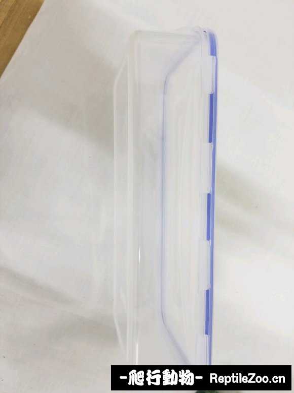 display_picture.php?url=http%3A%2F%2Fimgsa.baidu.com%2Fforum%2Fw%253D580%2Fsign%3Df47f1c548b18367aad897fd51e738b68%2F7d7edd00baa1cd1136a5a35db412c8fcc2ce2dda.jpg