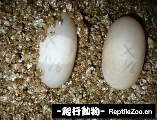180312gakjfwqnhfnnaoaw.jpg