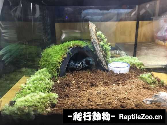 display_picture.php?url=http%3A%2F%2Fimgsa.baidu.com%2Fforum%2Fw%253D580%2Fsign%3D3951137277899e51788e3a1c72a6d990%2F3993506034a85edf811a3eac45540923df5475c9.jpg