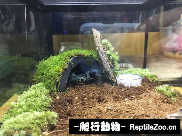 display_picture.php?url=http%3A%2F%2Fimgsa.baidu.com%2Fforum%2Fw%253D580%2Fsign%3D209eb48b9b0a304e5222a0f2e1c9a7c3%2F127fad44ad3459826f36251d00f431adcaef8420.jpg