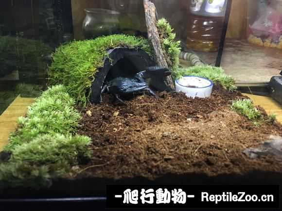display_picture.php?url=http%3A%2F%2Fimgsa.baidu.com%2Fforum%2Fw%253D580%2Fsign%3D5e8121952434349b74066e8df9eb1521%2F36b9bc51f81986184dd62f0b46ed2e7389d4e6cb.jpg