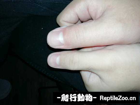 display_picture.php?url=http%3A%2F%2Fimgsa.baidu.com%2Fforum%2Fw%253D580%2Fsign%3De33aa38d6fd9f2d3201124e799ed8a53%2F335f5e66d016092433d63e77d90735fae7cd3409.jpg