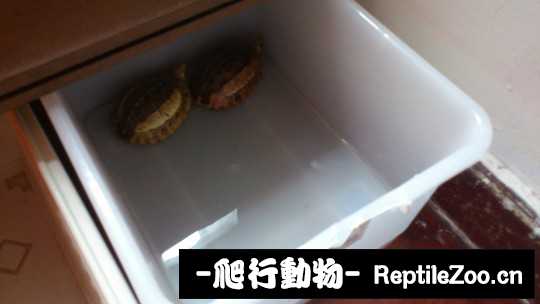 181026er24rh9zuy9oftyy.jpg