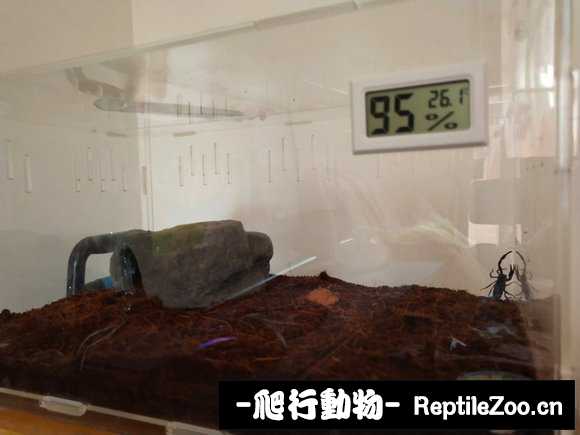 display_picture.php?url=http%3A%2F%2Fimgsa.baidu.com%2Fforum%2Fw%253D580%2Fsign%3D146a52fcaaefce1bea2bc8c29f50f3e8%2Ffe690646f21fbe09efe6d21e66600c338644ada6.jpg
