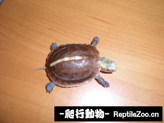 181503uwtrgvqu8rusuaw2.jpg