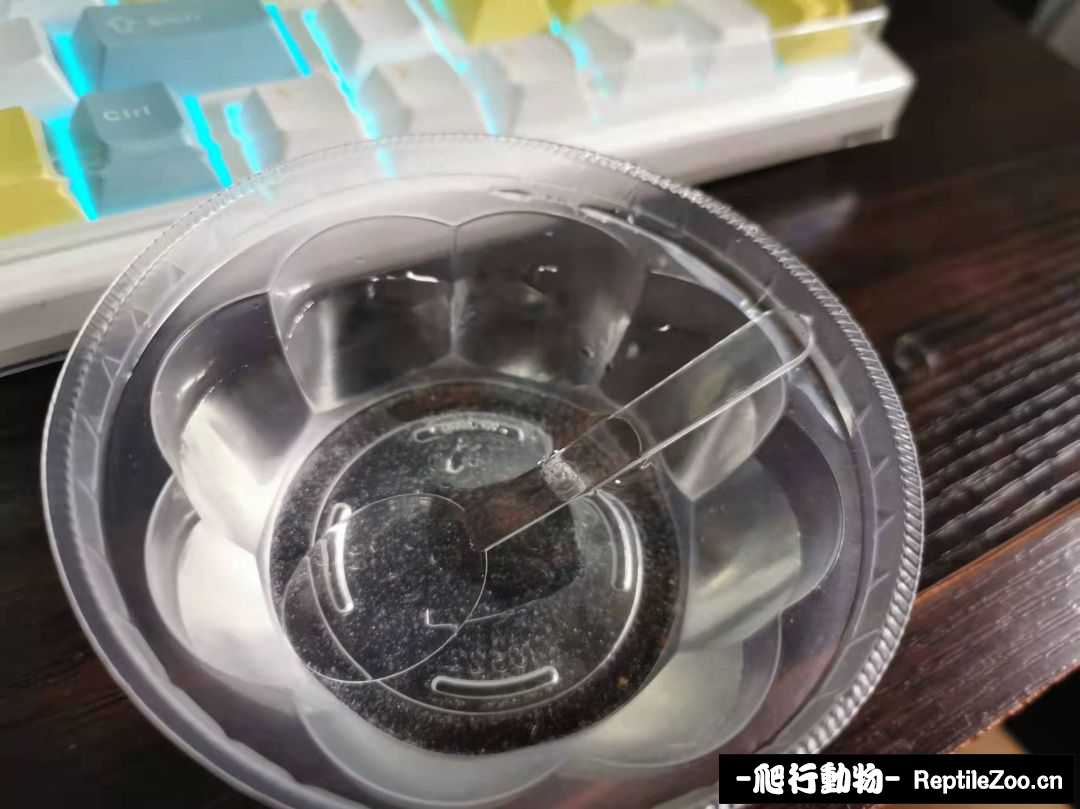 181731fc4l4c171tot1a70.jpg