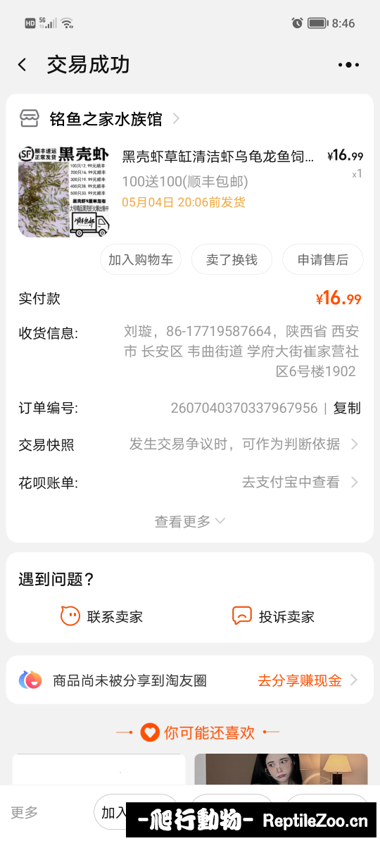 181738xjyzj1jv5t2sf7lr.jpg