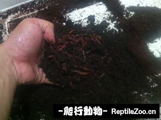 182435ngiti8g3tozhtpt3.jpg