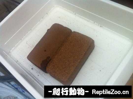 182436wu0ej4zfpu3eofhh.jpg