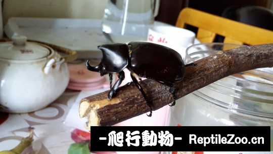 182448py22c58ry1aeabuz.jpg