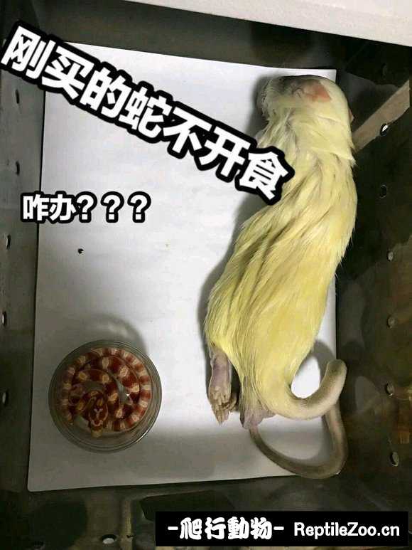 display_picture.php?url=http%3A%2F%2Fimgsa.baidu.com%2Fforum%2Fw%253D580%2Fsign%3D13d7bea0db3f8794d3ff4826e21a0ead%2Fca60d9628535e5dd6683f8c779c6a7efcf1b6299.jpg