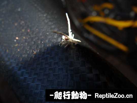 190724pk2shkw2161wk742.jpg