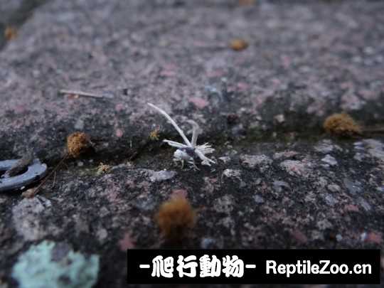 190726lk08l53ib0kskfsk.jpg