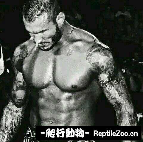 display_picture.php?url=http%3A%2F%2Fimgsa.baidu.com%2Fforum%2Fw%253D580%2Fsign%3De084eb159b22720e7bcee2f24bca0a3a%2F2b0a1b12b31bb051116afd5f357adab44bede0fd.jpg