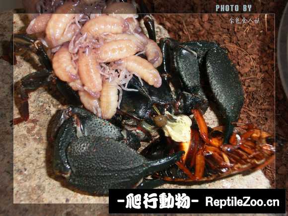 display_picture.php?url=http%3A%2F%2Fimgsa.baidu.com%2Fforum%2Fw%253D580%2Fsign%3De1740034b9a1cd1105b672288913c8b0%2F4c66bf16fdfaaf51ea7665bb8f5494eef11f7a9e.jpg