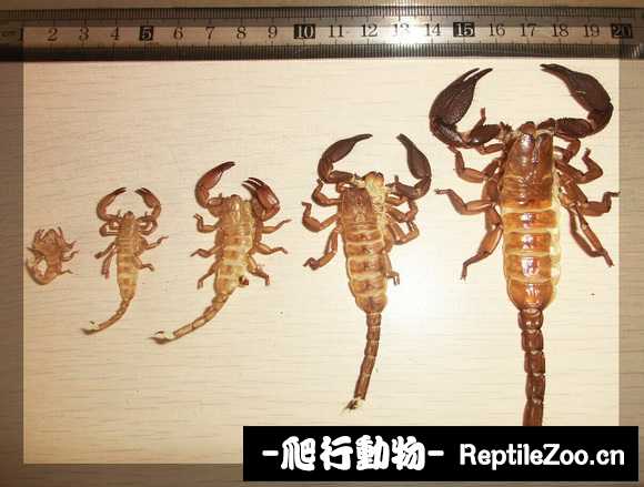 display_picture.php?url=http%3A%2F%2Fimgsa.baidu.com%2Fforum%2Fw%253D580%2Fsign%3Dcba86b95ce11728b302d8c2af8fdc3b3%2F1f6bdffaaf51f3deae275d6097eef01f3b29799e.jpg