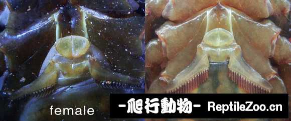 display_picture.php?url=http%3A%2F%2Fimgsa.baidu.com%2Fforum%2Fw%253D580%2Fsign%3D73a1180973cf3bc7e800cde4e101babd%2F67a0c51190ef76c6b3471f2f9e16fdfaae51679e.jpg