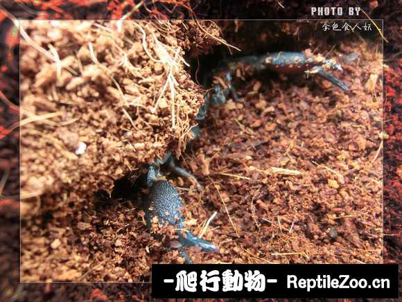 display_picture.php?url=http%3A%2F%2Fimgsa.baidu.com%2Fforum%2Fw%253D580%2Fsign%3D6c96b63dca3d70cf4cfaaa05c8ddd1ba%2F0748c7dde71190ef656e76dbcd1b9d16fcfa609e.jpg
