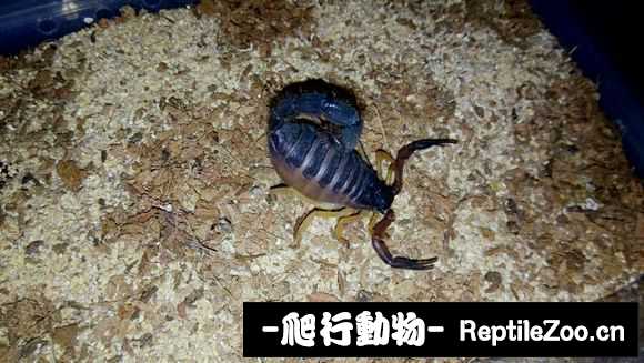 display_picture.php?url=http%3A%2F%2Fimgsa.baidu.com%2Fforum%2Fw%253D580%2Fsign%3D7a08d84f227f9e2f70351d002f31e962%2F2965b52bd40735fa3d4e24109b510fb30e24085e.jpg