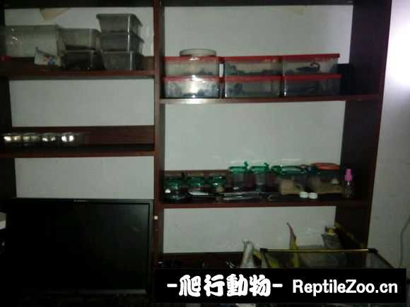display_picture.php?url=http%3A%2F%2Fimgsa.baidu.com%2Fforum%2Fw%253D580%2Fsign%3D97ae9d85cc3d70cf4cfaaa05c8ddd1ba%2F0748c7dde71190ef9e565d63cb1b9d16fcfa605f.jpg
