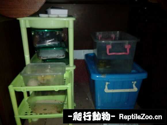 display_picture.php?url=http%3A%2F%2Fimgsa.baidu.com%2Fforum%2Fw%253D580%2Fsign%3D3386700ebc014a90813e46b599763971%2F7e7eb045d688d43faa055e4e781ed21b0ff43b5f.jpg