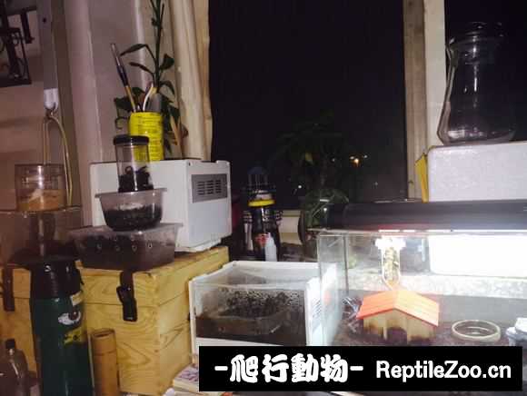 display_picture.php?url=http%3A%2F%2Fimgsa.baidu.com%2Fforum%2Fw%253D580%2Fsign%3Db410577252fbb2fb342b581a7f4b2043%2Fc1d4a026cffc1e17677cd31e4d90f603728de958.jpg