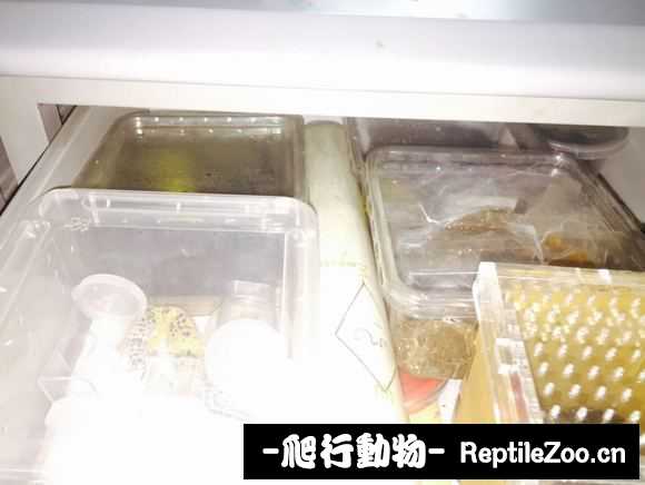 display_picture.php?url=http%3A%2F%2Fimgsa.baidu.com%2Fforum%2Fw%253D580%2Fsign%3D795bcaf30ffa513d51aa6cd60d6c554c%2Ffb4c2855b319ebc45f9129b68526cffc1f1716b5.jpg