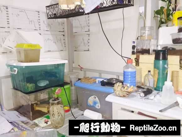 display_picture.php?url=http%3A%2F%2Fimgsa.baidu.com%2Fforum%2Fw%253D580%2Fsign%3D801e71caaa6eddc426e7b4f309dab6a2%2F496e6b540923dd54d8a4f847d609b3de9d824843.jpg