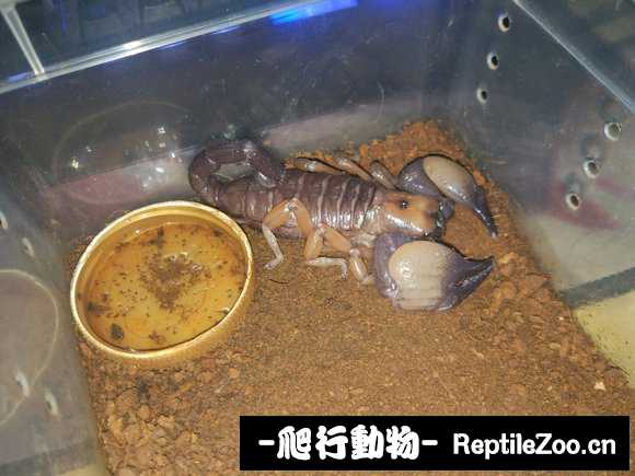display_picture.php?url=http%3A%2F%2Fimgsa.baidu.com%2Fforum%2Fw%253D580%2Fsign%3D7a0b359583b1cb133e693c1bed5556da%2F48fd47380cd79123d97eca0ea3345982b3b780af.jpg