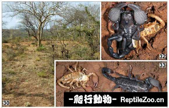 display_picture.php?url=http%3A%2F%2Fimgsa.baidu.com%2Fforum%2Fw%253D580%2Fsign%3Dfcafdaaabdfb43161a1f7a7210a54642%2F005bedfc1e178a8278c3c5c1f903738da877e856.jpg