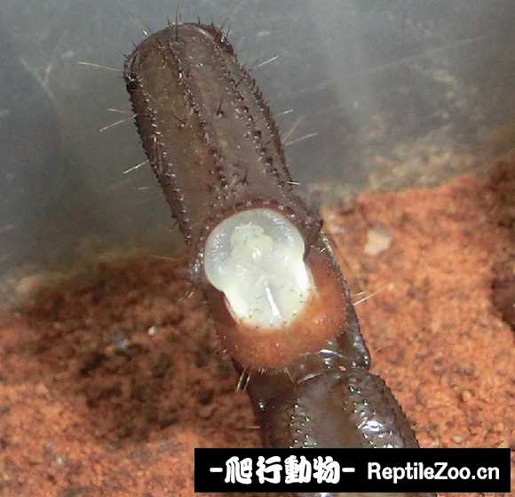 display_picture.php?url=http%3A%2F%2Ftiebapic.baidu.com%2Fforum%2Fw%253D580%2Fsign%3D27ff949f2cc79f3d8fe1e4388aa0cdbc%2F656cb2ef76c6a7ef20d97946eafaaf51f2de6655.jpg