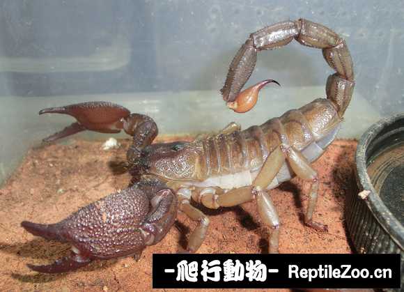 display_picture.php?url=http%3A%2F%2Ftiebapic.baidu.com%2Fforum%2Fw%253D580%2Fsign%3D383f18538545d688a302b2ac94c37dab%2Fb8540ff5e0fe992547f3b83023a85edf8cb17155.jpg