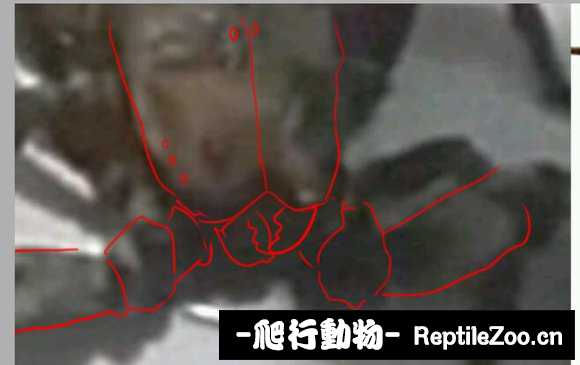 display_picture.php?url=http%3A%2F%2Ftiebapic.baidu.com%2Fforum%2Fw%253D580%2Fsign%3D6bc9c4bd43e736d158138c00ab514ffc%2F8e4ea544ebf81a4c82c866a8c02a6059242da653.jpg