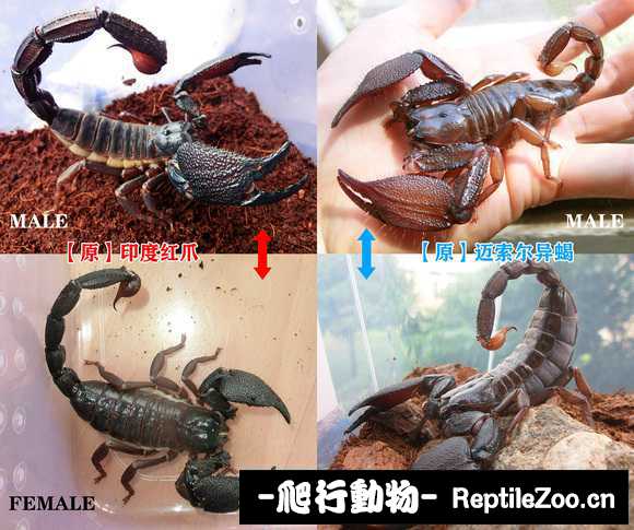 display_picture.php?url=http%3A%2F%2Ftiebapic.baidu.com%2Fforum%2Fw%253D580%2Fsign%3D445b1ac1dc1349547e1ee86c664f92dd%2Fe7452ed7912397ddbbc03a444e82b2b7d1a287b6.jpg