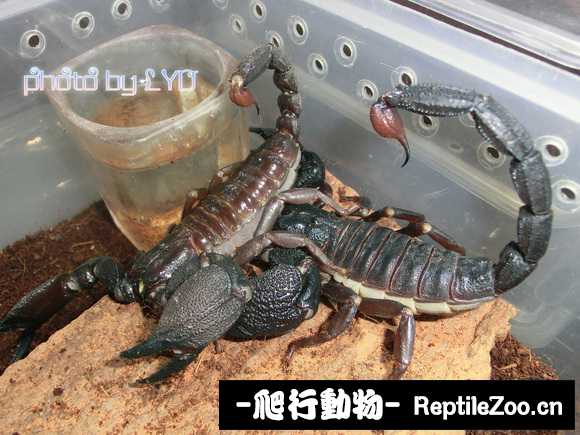 display_picture.php?url=http%3A%2F%2Ftiebapic.baidu.com%2Fforum%2Fw%253D580%2Fsign%3D763f0528c609b3deebbfe460fcbe6cd3%2Fdbff90b7d0a20cf411dc5c9f61094b36adaf999b.jpg