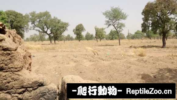 display_picture.php?url=http%3A%2F%2Ftiebapic.baidu.com%2Fforum%2Fw%253D580%2Fsign%3D923d308a54166d223877159c76220945%2F4d813c178a82b9018d567472648da9773812ef72.jpg