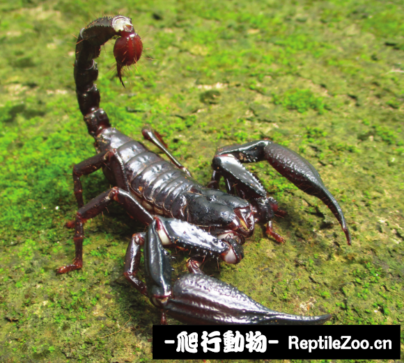 display_picture.php?url=http%3A%2F%2Ftiebapic.baidu.com%2Fforum%2Fw%253D580%2Fsign%3D437bd2b46ccb0a4685228b315b62f63e%2F7a64a418367adab405652b0d9cd4b31c8601e440.jpg