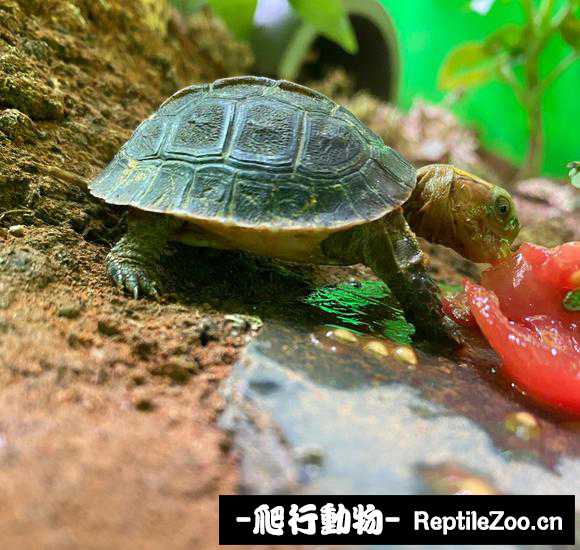 203012c19wzqw3b9w3w9cg.jpg