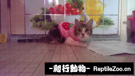 225752uwpbhc1dd1cm7m7m.jpg